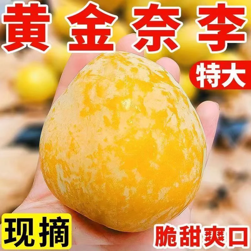 【京东快递】湖南郴州汝城正宗黄金奈李 新鲜脱骨李脆李批发价