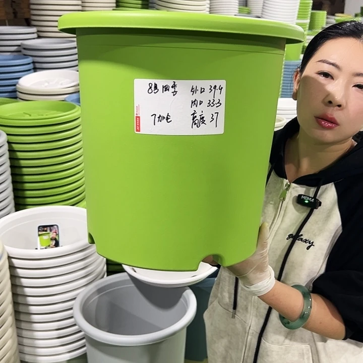 特价8号四季口39高37白色5只无托