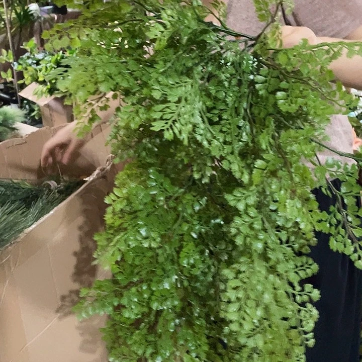 陶瓷花瓶部分（微瑕）