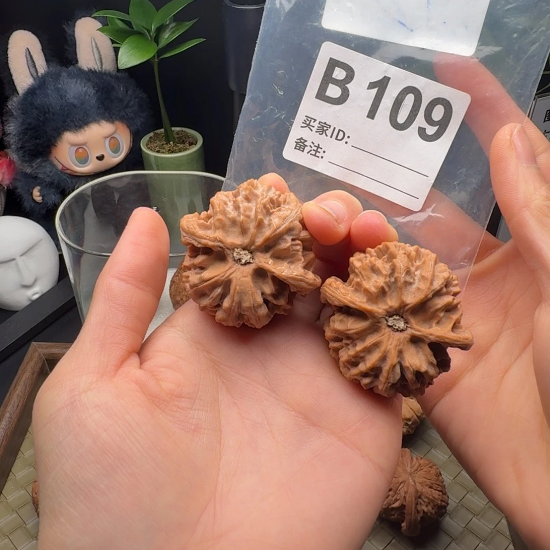 把件龙脊菩提全品43+苹果园