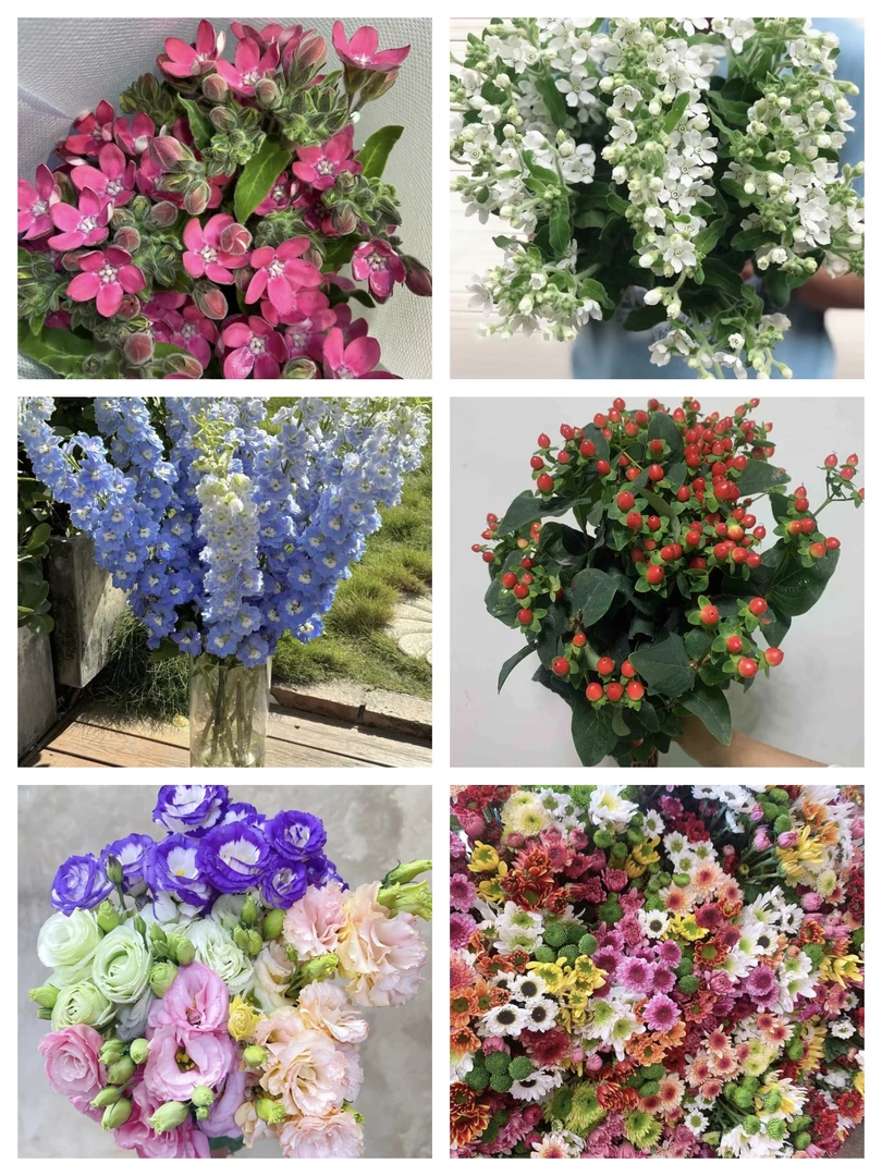 鲜花 宠粉5件套 不支持已发货退款