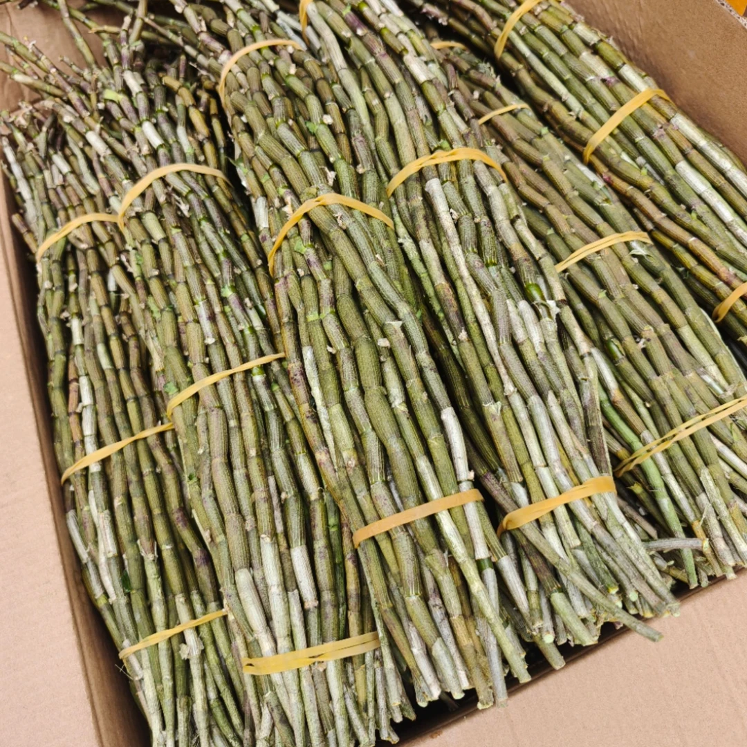 云南新鲜铁皮鲜条可榨汁煲汤多胶1000g铁皮石斛的石斛铁皮石斛