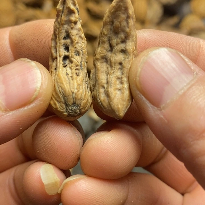 吊坠桃核东北特产151