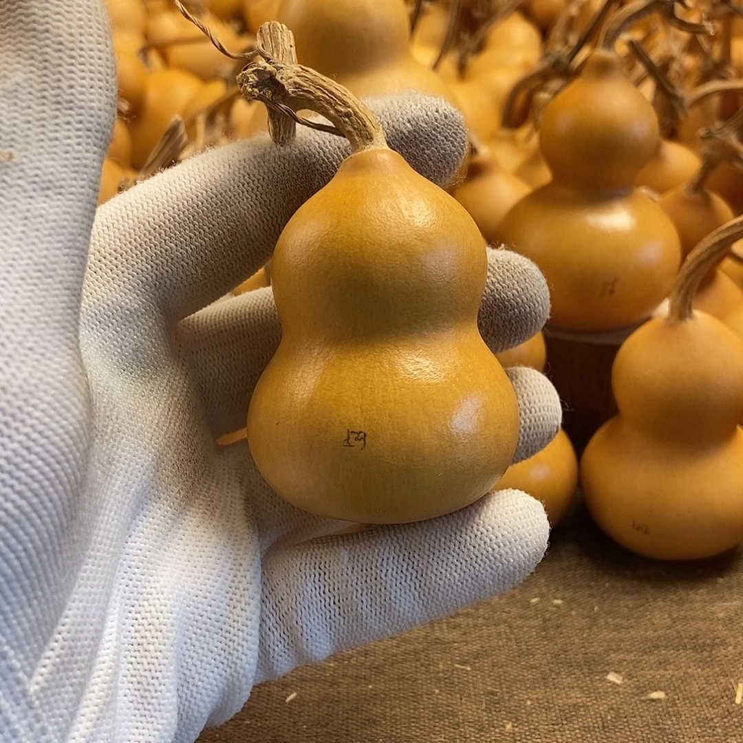 文玩葫芦 完美主义者 慎拍59