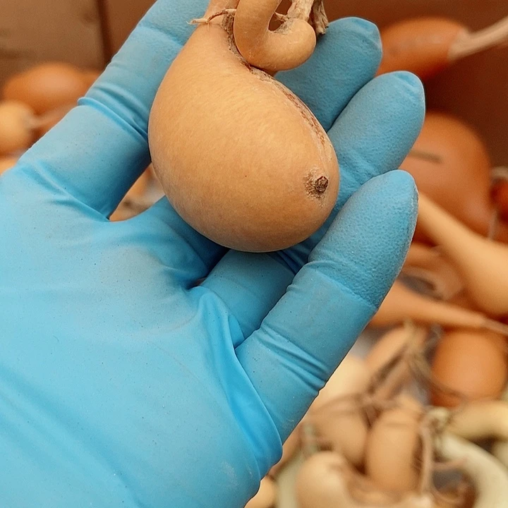 A***6有机玻璃直播间里的拍品，哦链接