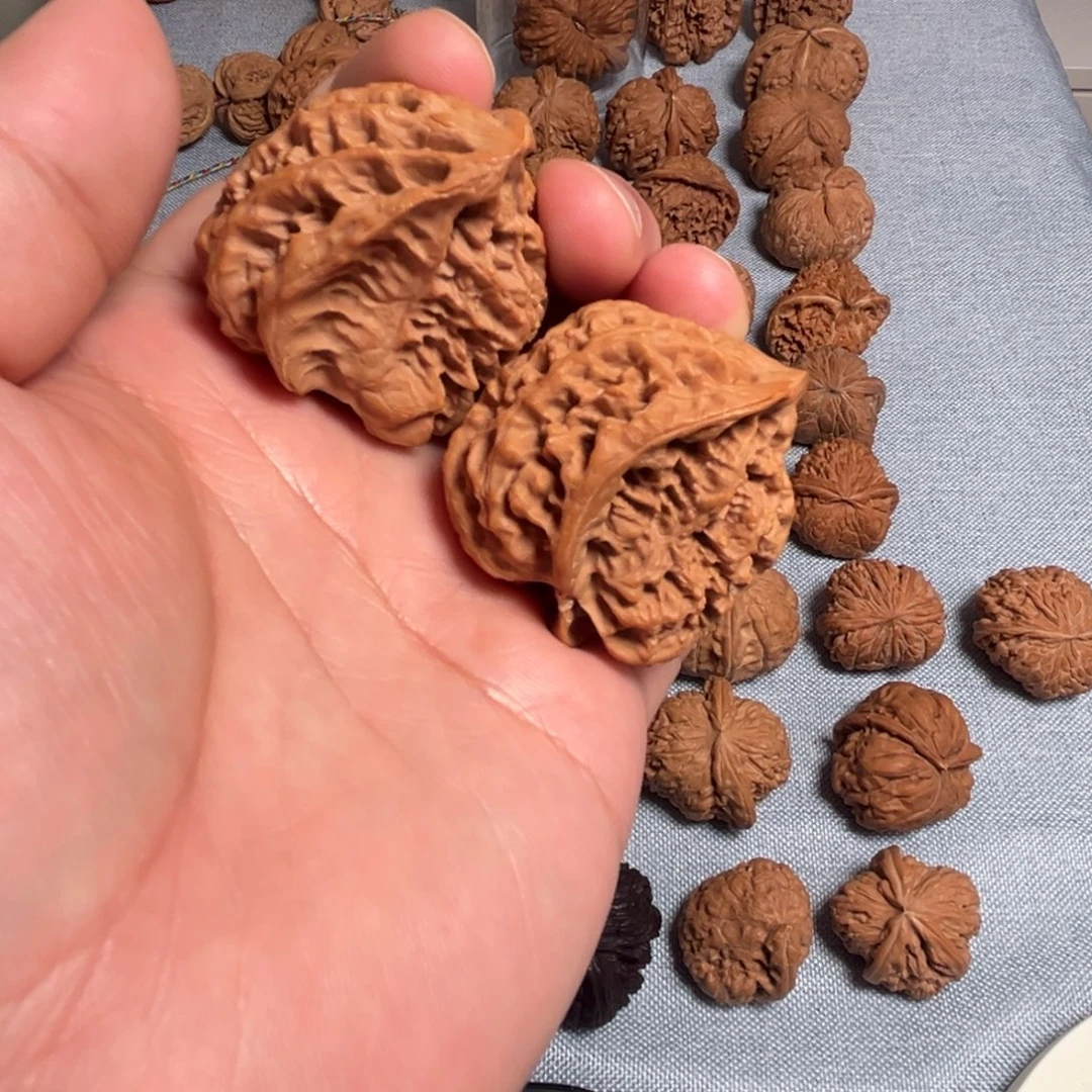 糖***猫核桃核桃核桃核桃