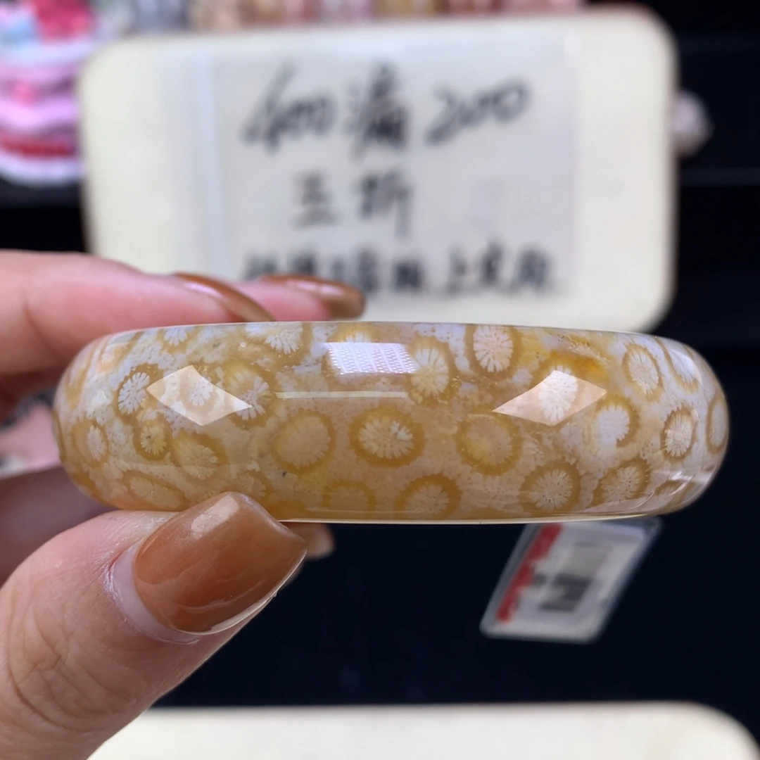 硅化珊瑚（珊瑚玉）未镶嵌颈饰五折手镯56.8口（32号）