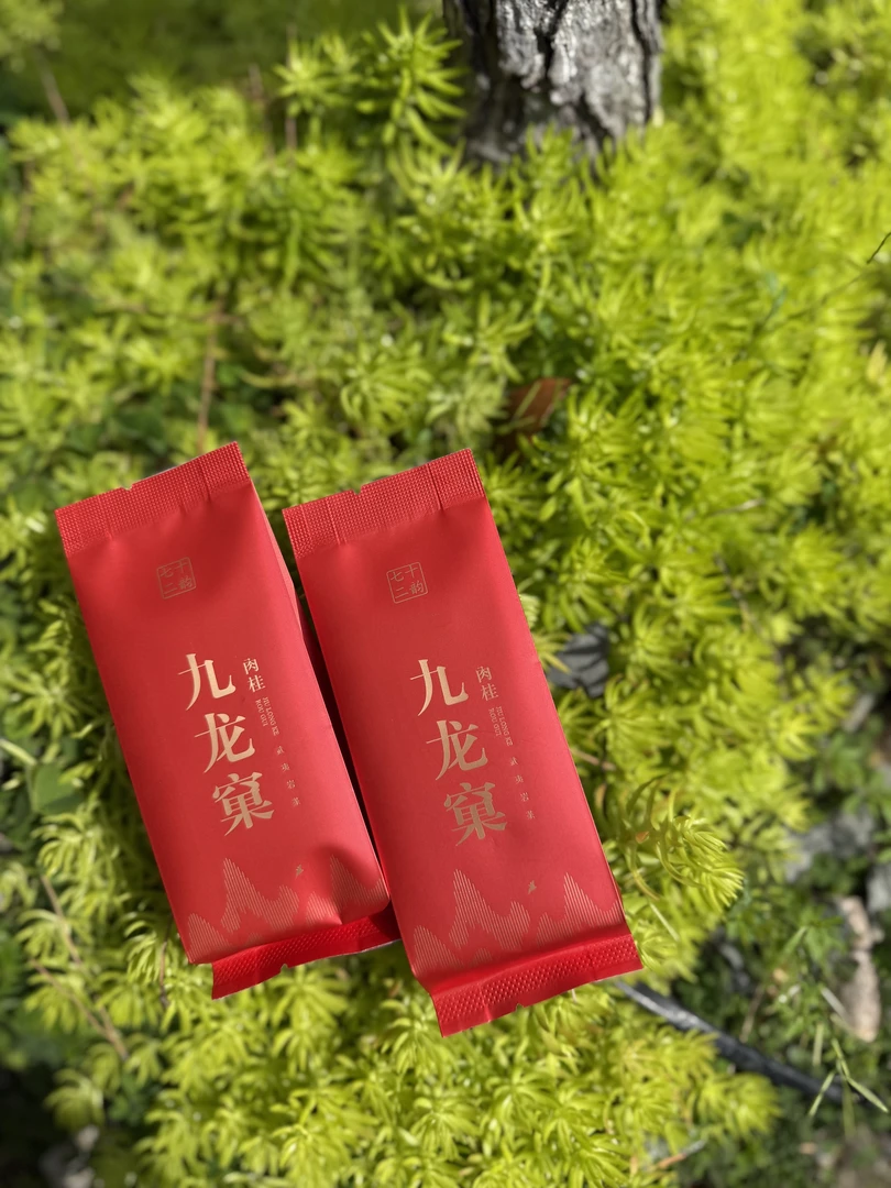 武夷岩茶【正岩肉桂】九龙窠肉桂桂皮香