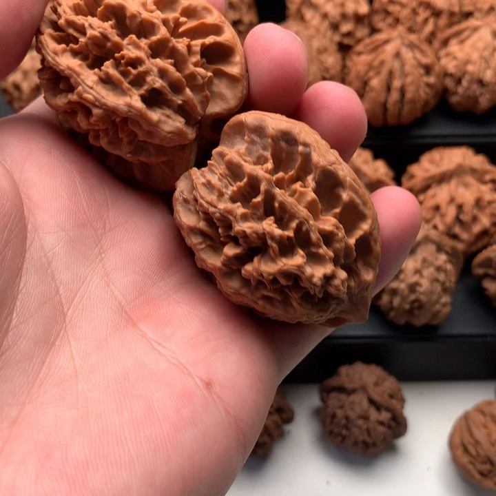 其他核桃楼*然秦岭的森林中也