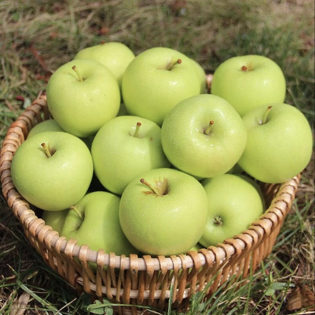 【陕西晨阳青苹果】新鲜现摘当季水果孕妇酸甜脆爽大果小青