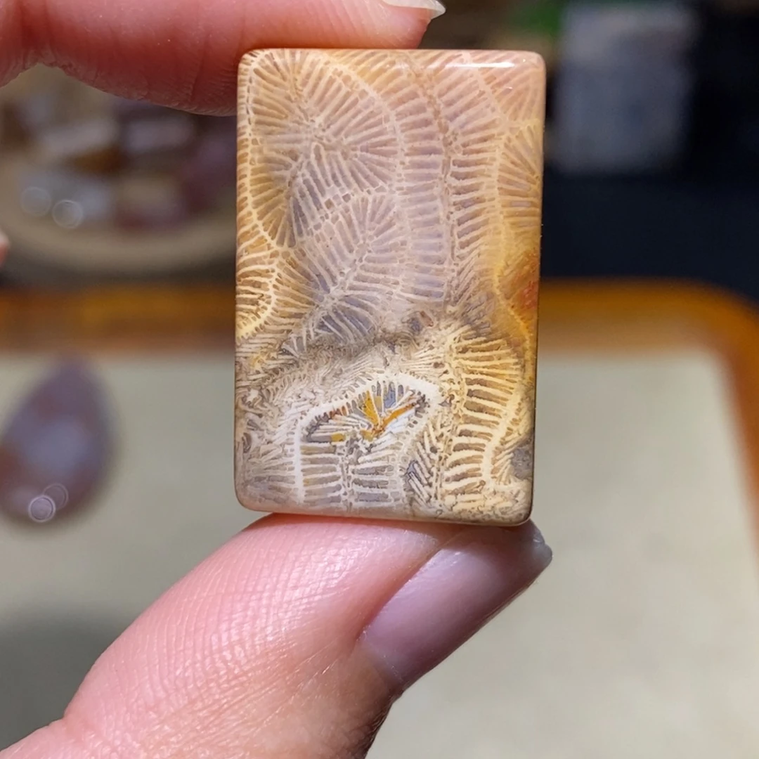 【闪购商品】硅化玉颈饰未镶嵌