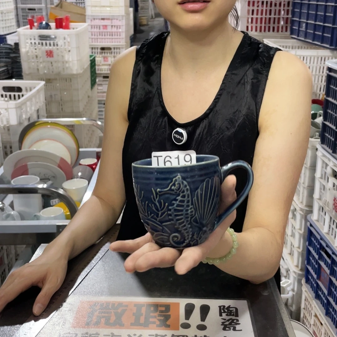 瓷片619             4个