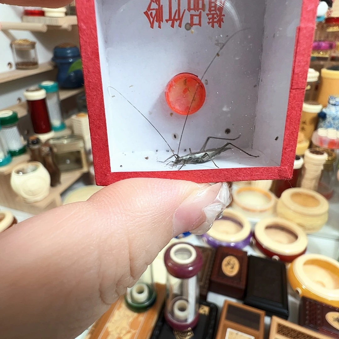 定***厂哈哈哈哈哈紫竹一个