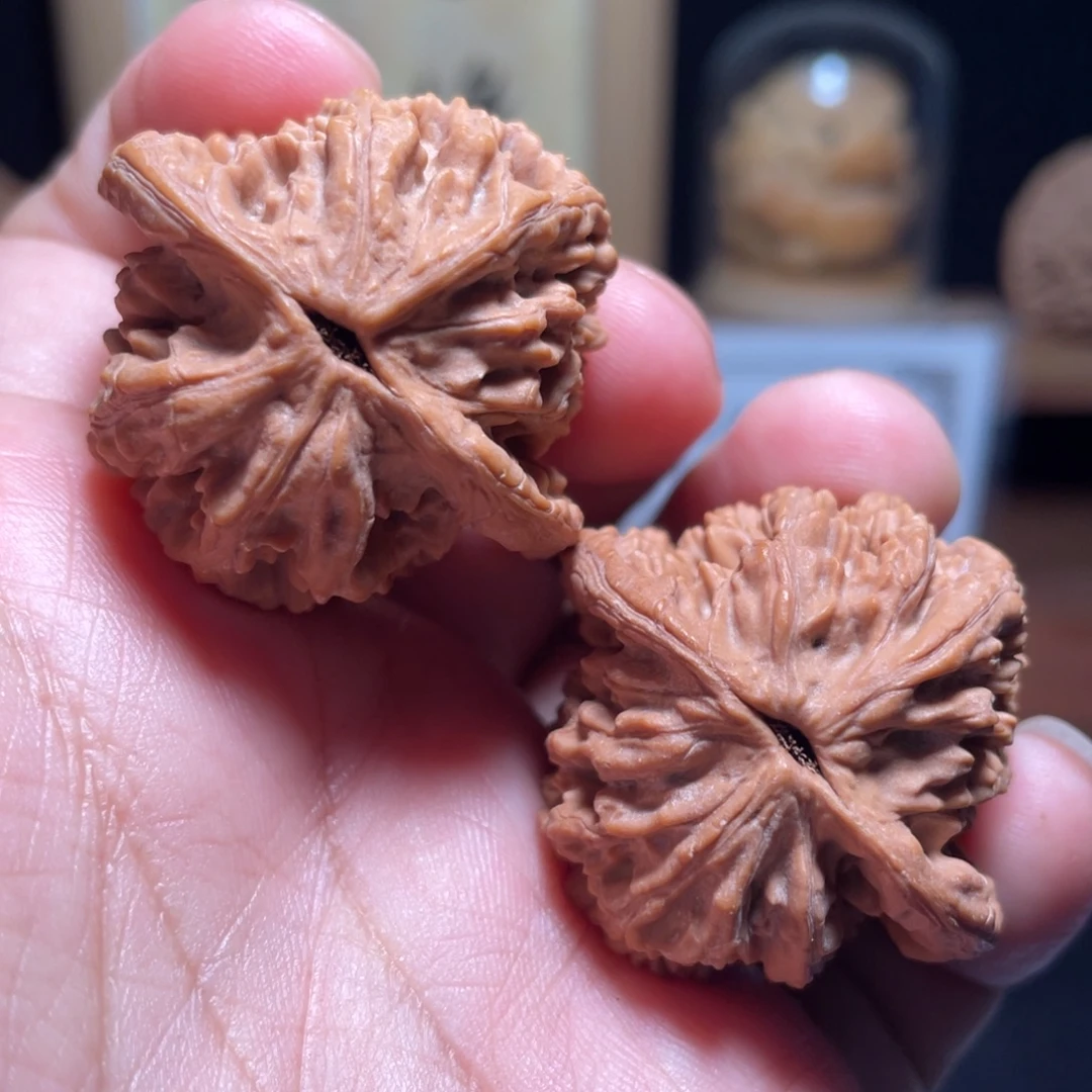文玩核桃把件汉高虎38尺