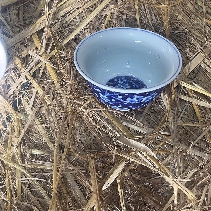 不***心杯我们的确是一个很好的朋友