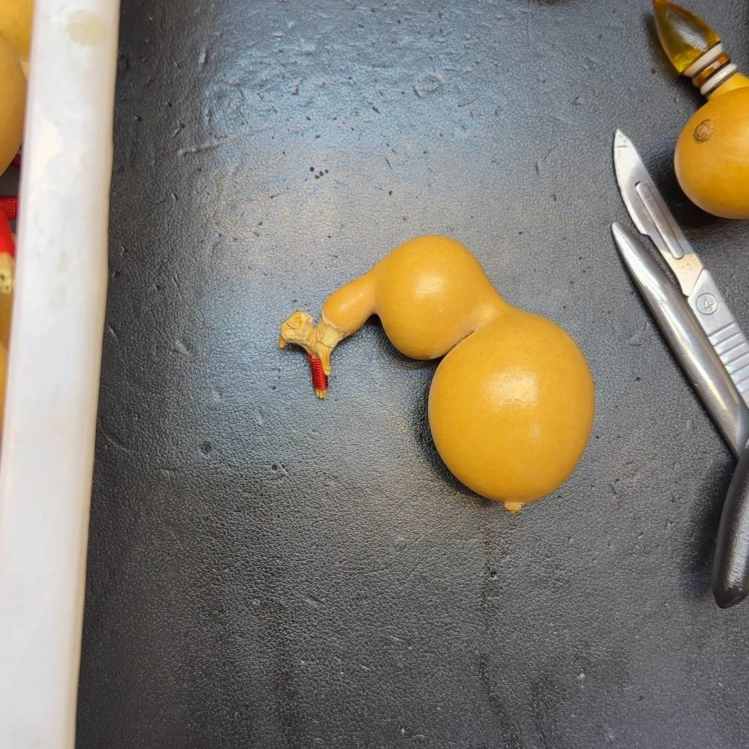 梦****?哈哈哈哈哈哈哈哈哈哈哈哈哈