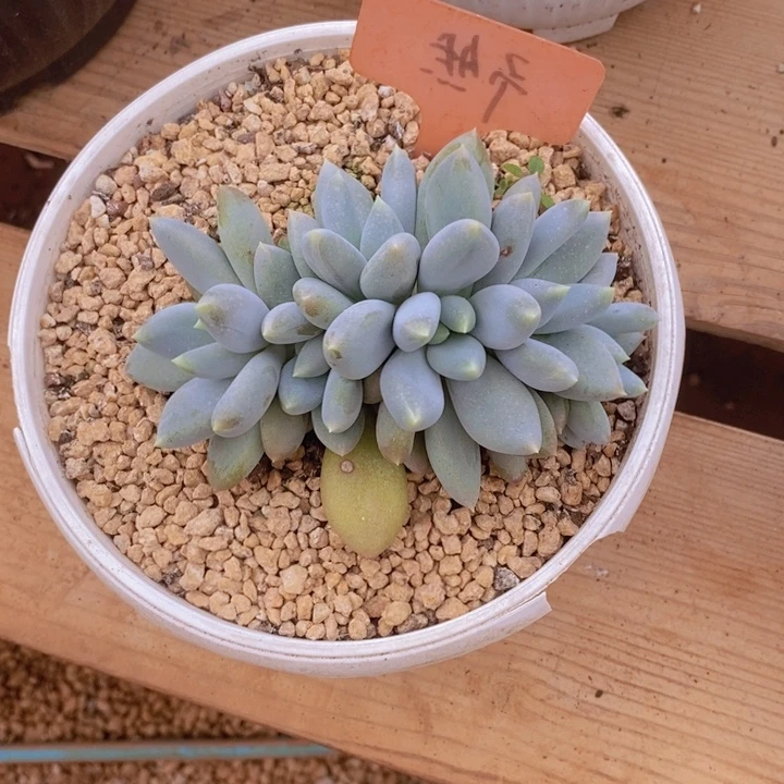 你是怎么说出这个问题我