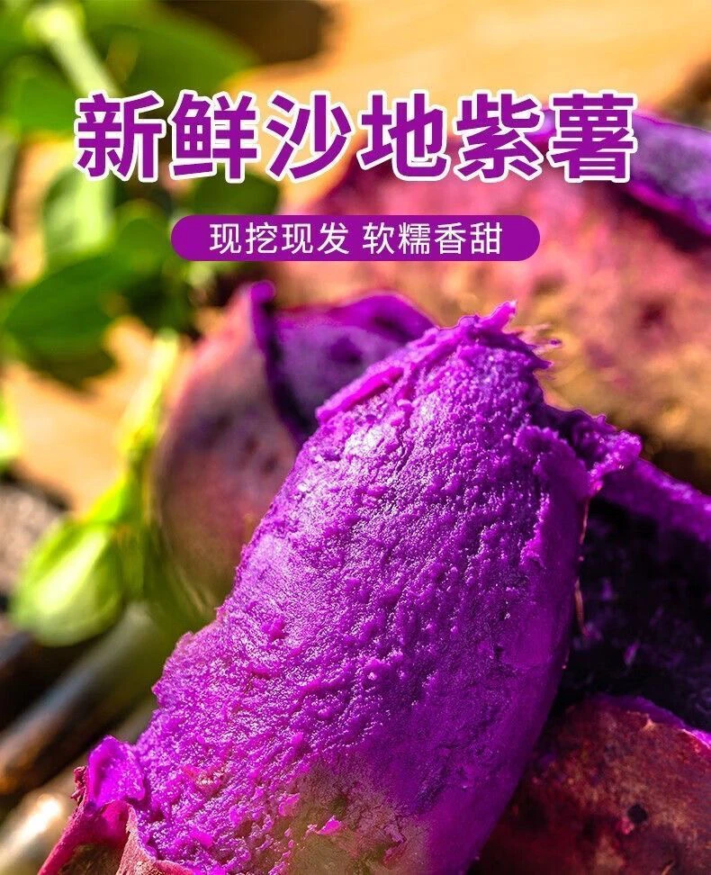 新鲜正宗沙地紫薯紫罗兰香甜地瓜红番薯蜜薯低脂热量