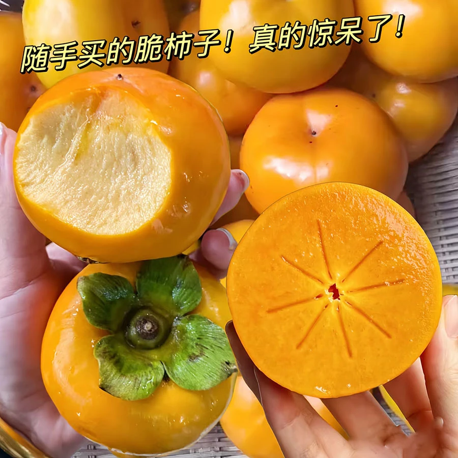 新鲜采摘山西巧克力脆柿子甜脆多汁冰糖柿子不涩无籽当季水果