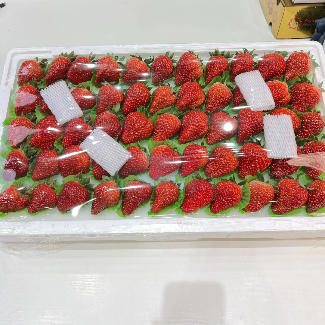 【磊哥心选】【中果】丹东九九草莓一板4.3斤左右99草莓