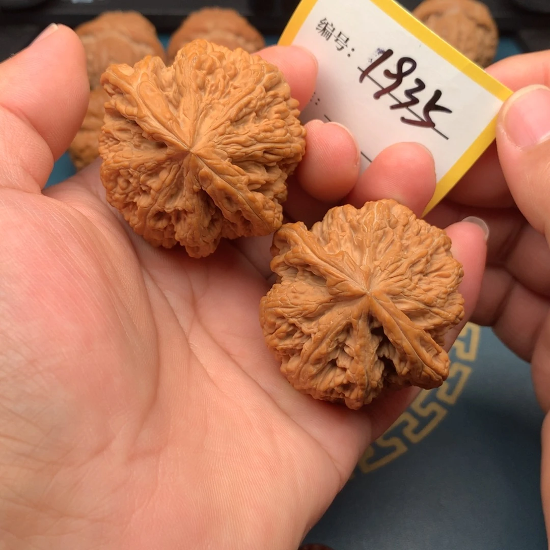 把件文玩核桃49全品大克重粗筋1935