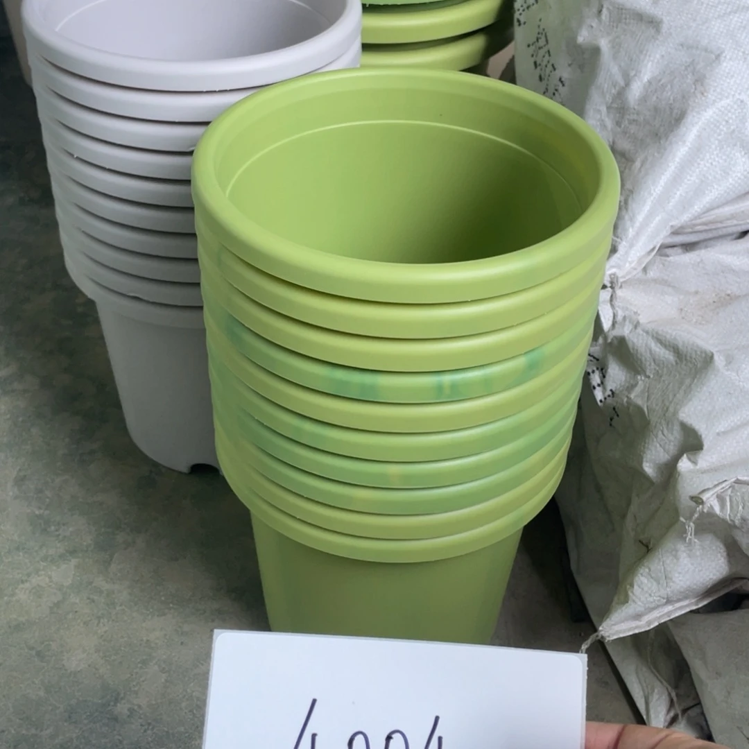 编号是4004的编号