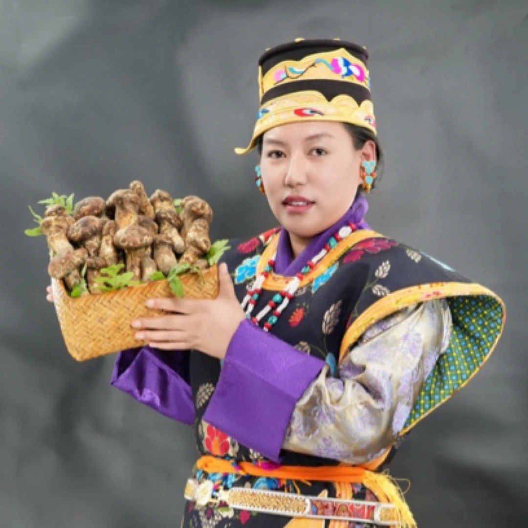 林芝本地新鲜松茸（邮政包邮）