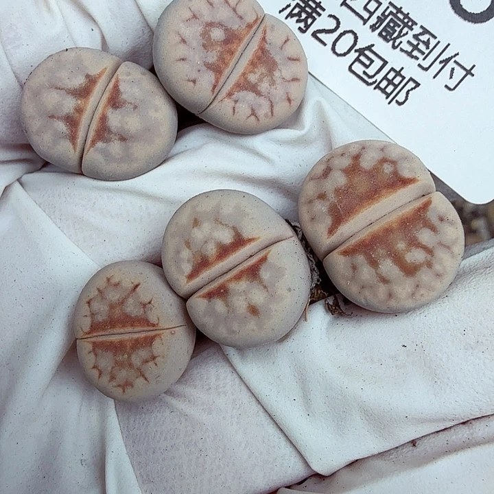 这个点吃晚饭真的有点难喝418