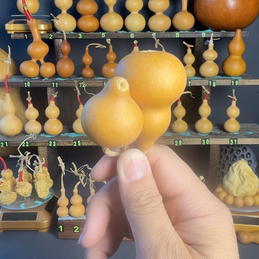 葫芦葫芦葫芦葫芦葫芦葫芦葫芦葫芦