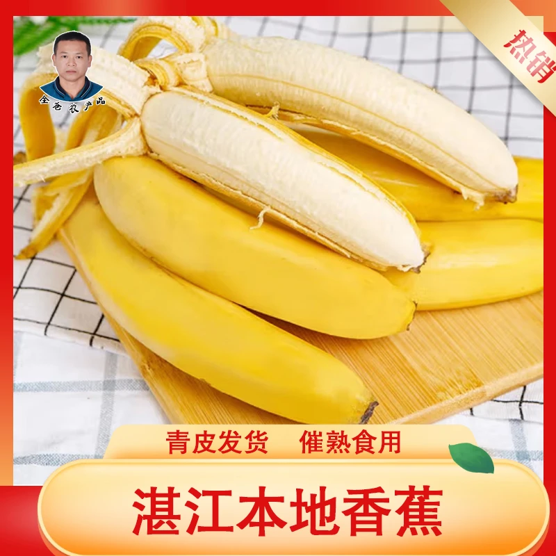 全爸农产品湛江本地香蕉甜香蕉当季新鲜水果 催熟食用（南宁中转）