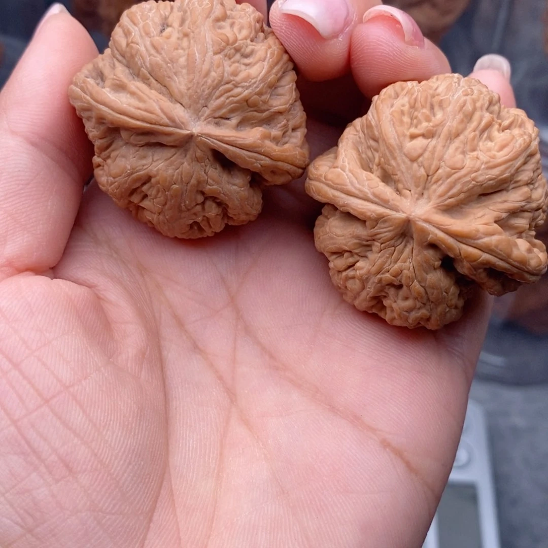 核桃把件粗筋39全品