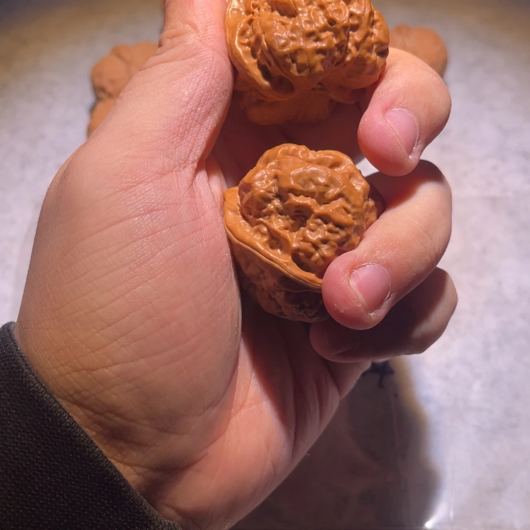 一份v编剧如果不飓风vv个