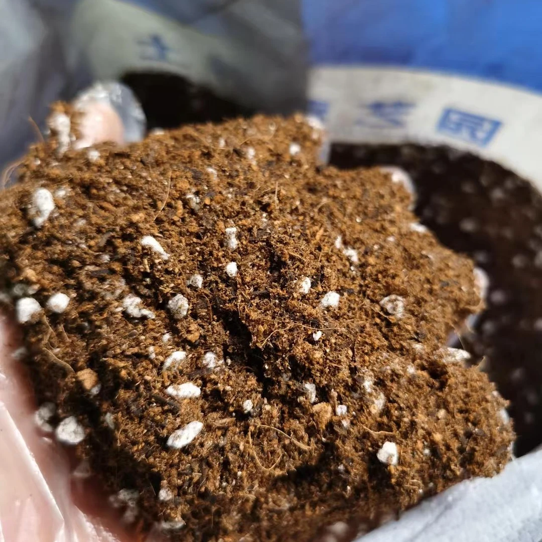 营养土养花通用专用花土泥炭有机种植土家用盆栽多肉育苗种菜土壤