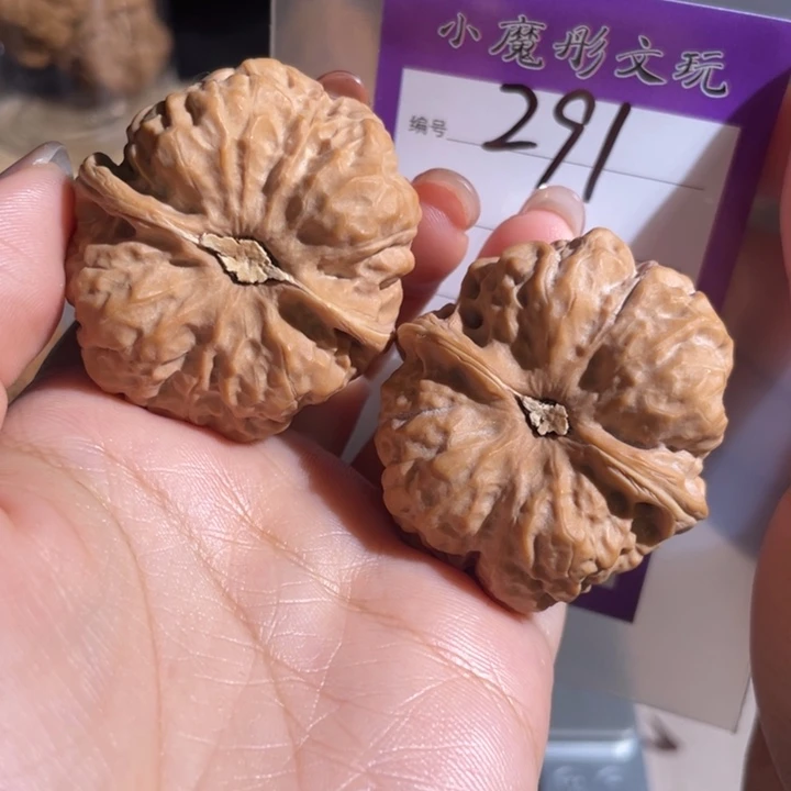 291号 哇啊啊啊啊 41111