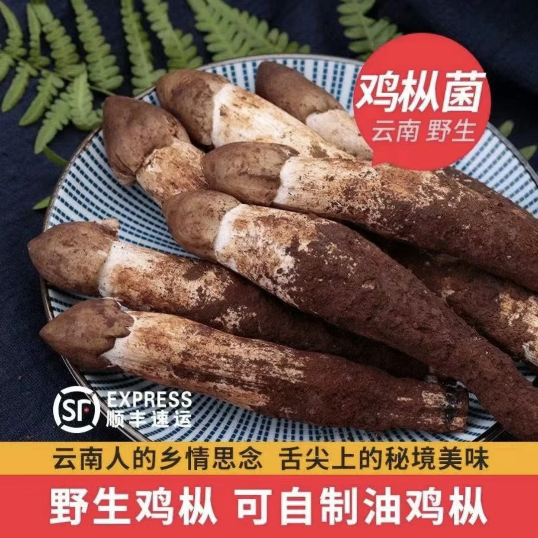 【新鲜鸡枞】云南野生新鲜鸡枞独脚鸡枞精挑精品鸡枞刺鸡枞顺丰