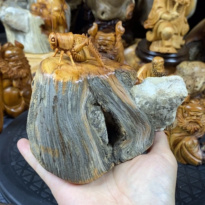 柏木崖柏崖柏崖柏崖柏崖柏