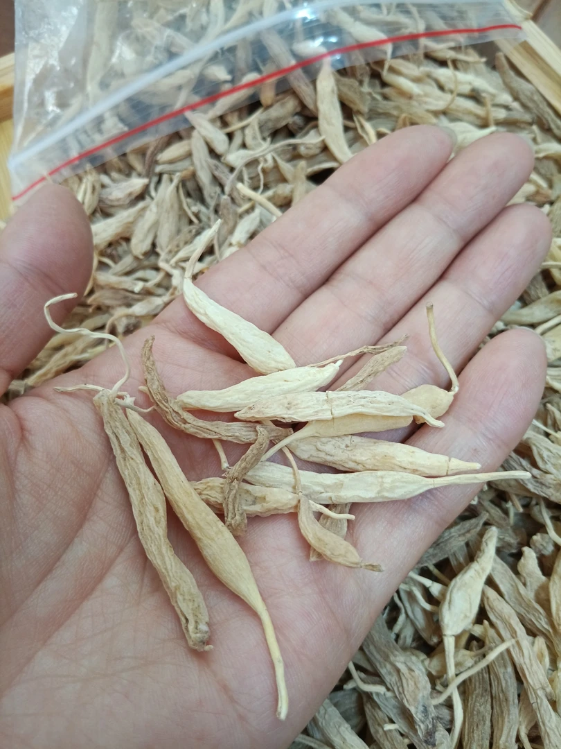 野生麦東特级干货（备）