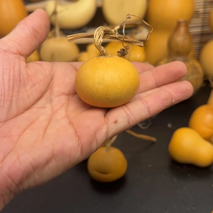 嘉*1555555659898999