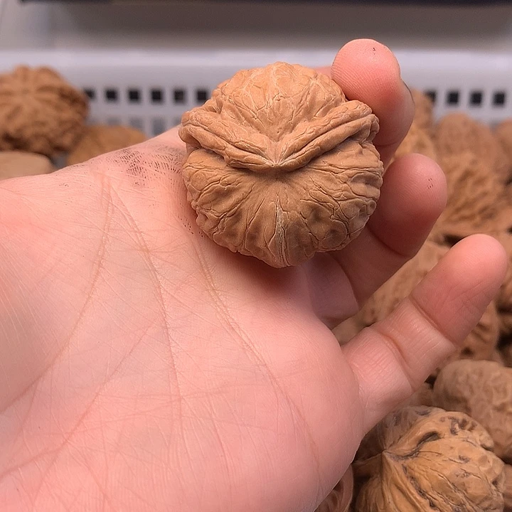 狼***腾吊坠文玩核桃文玩核桃