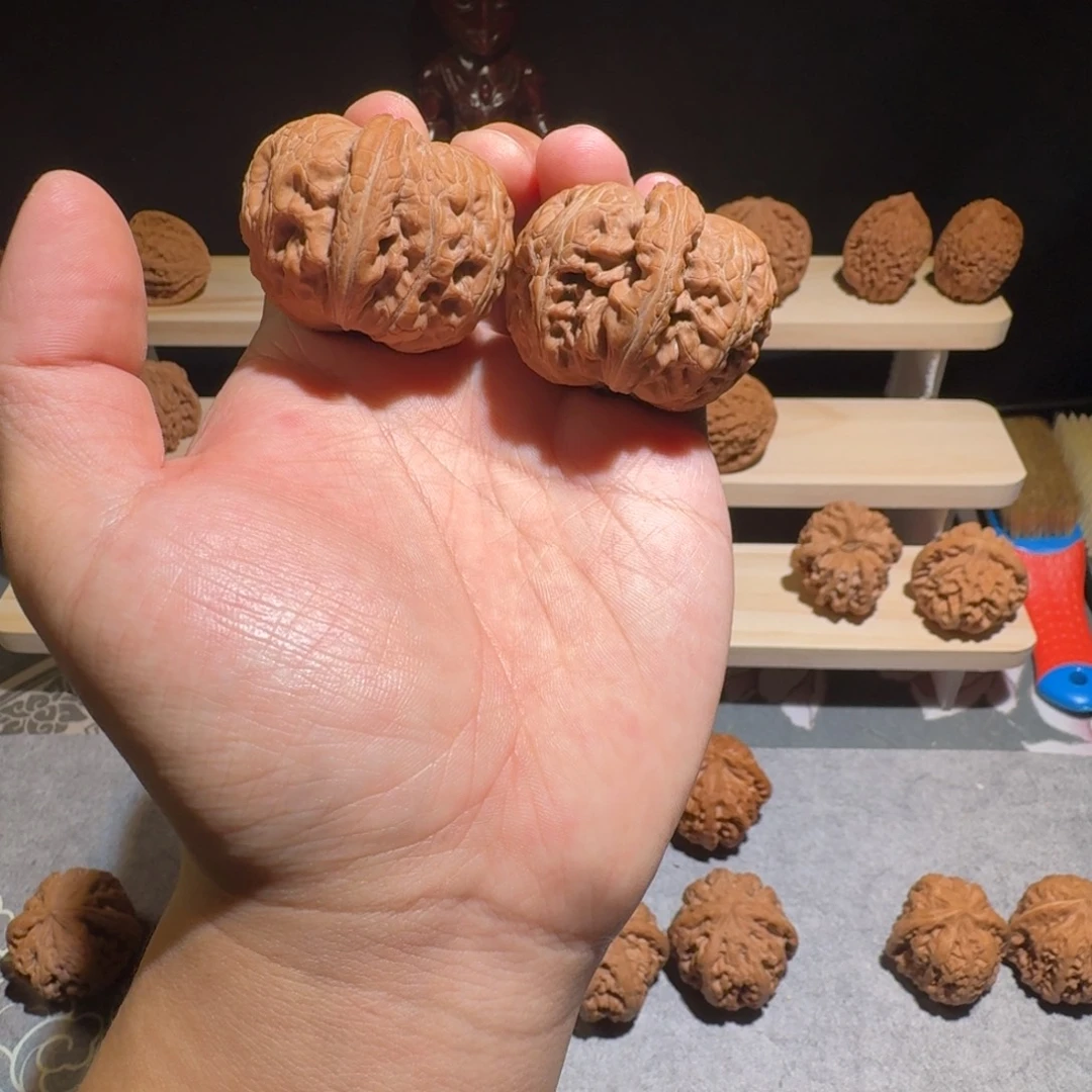 大叶紫檀（黑酸枝木类）