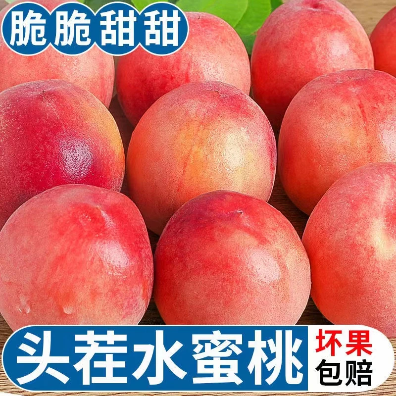 2025桃子正宗水蜜桃毛桃新鲜应季孕妇水果现摘脆桃脆甜蜜桃爆汁