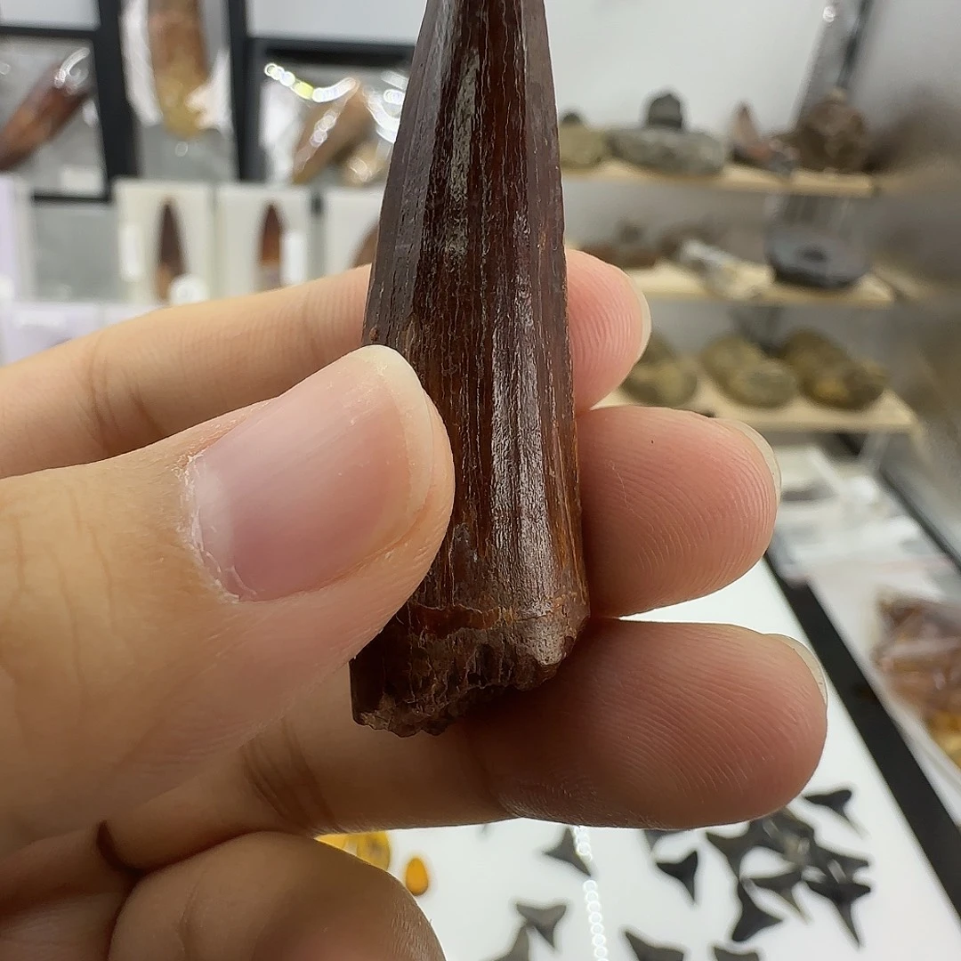 琉璃/树脂/塑料类