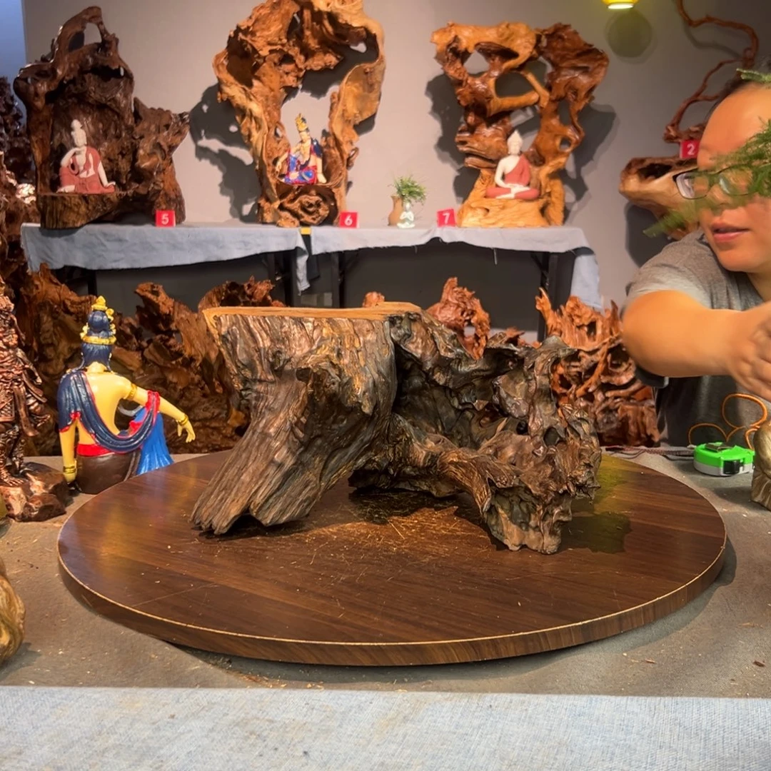 永***象香杉木497aaaaaaas