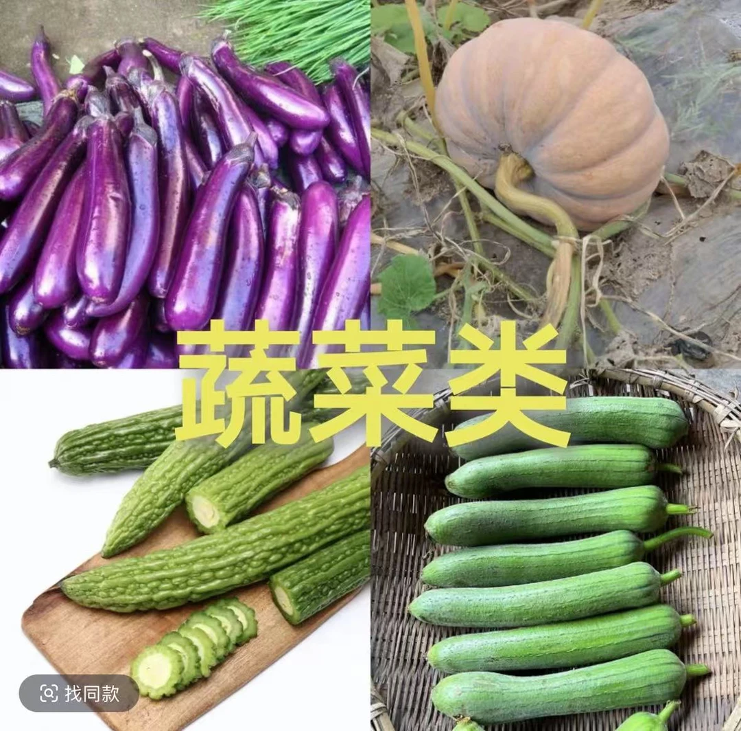 阿来）大集现收茶树菇