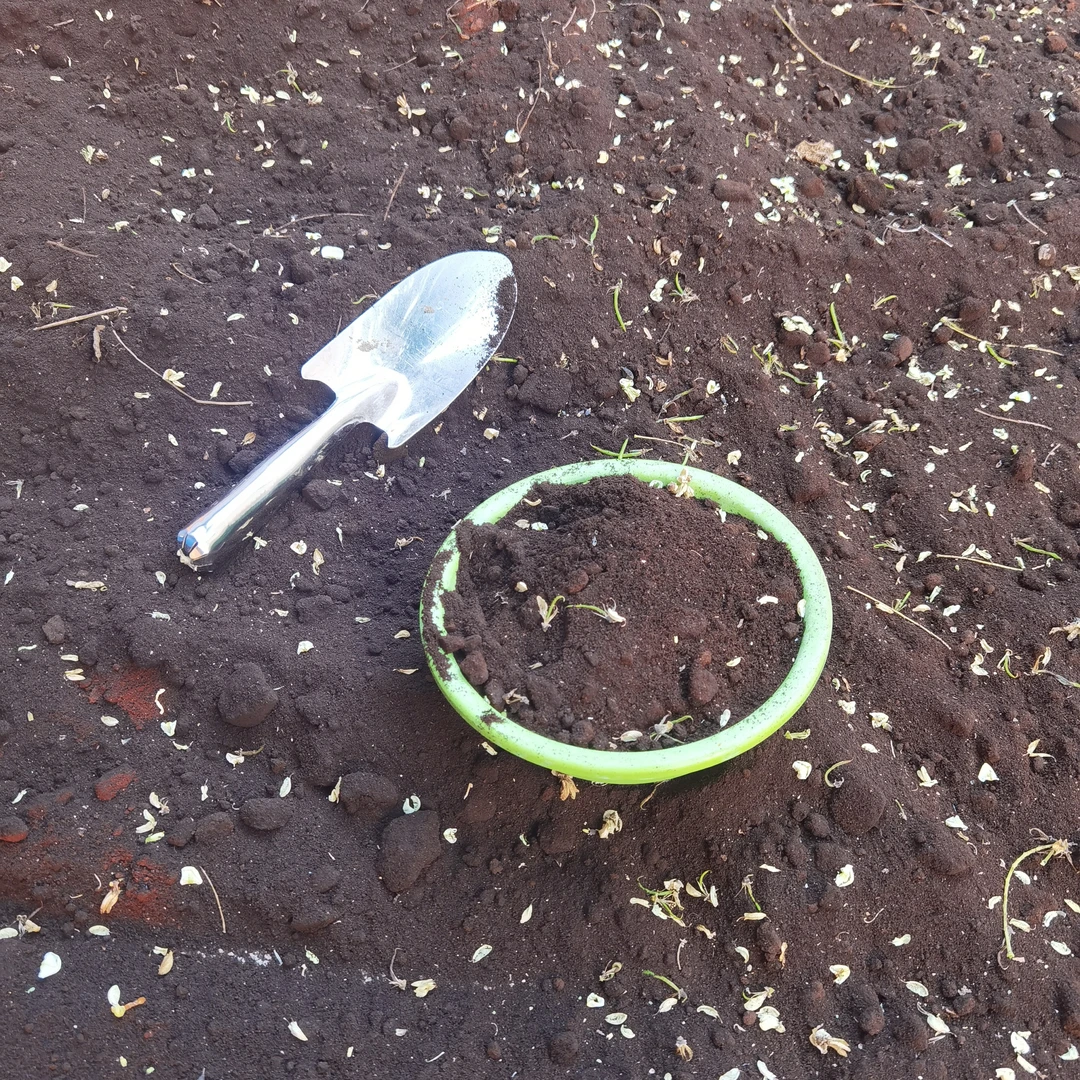 槐花有机肥 添加槐花去除异味 抑菌净味