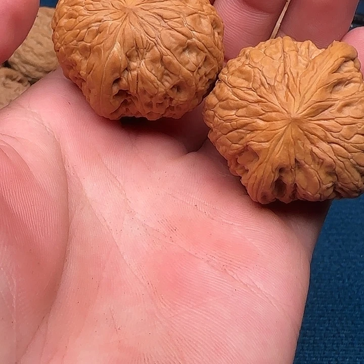 吊坠文玩核桃沟沟壑壑别别扭扭