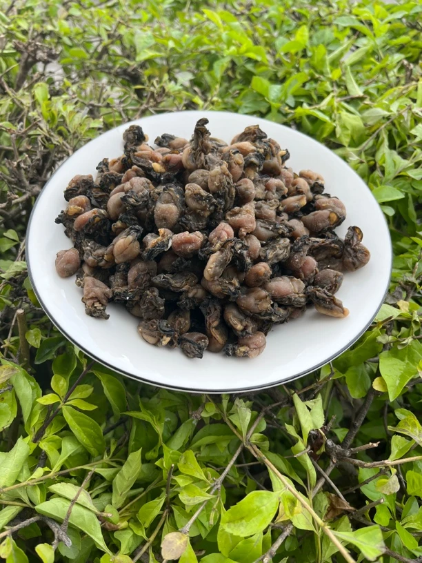 福建特产海蛎干无沙无壳海蛎干生蚝干货煲汤提鲜