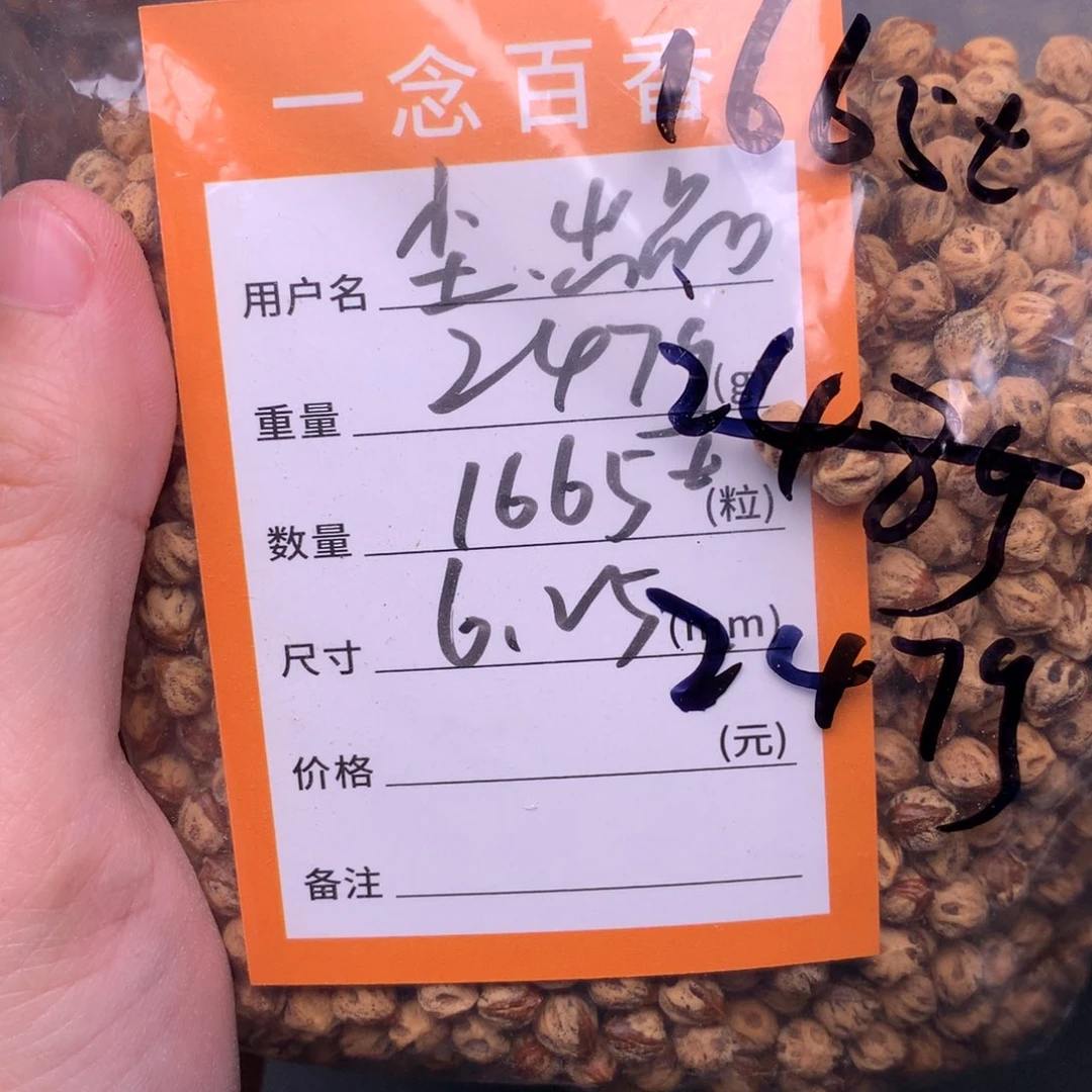 尘****柏香籽/百香籽吊坠