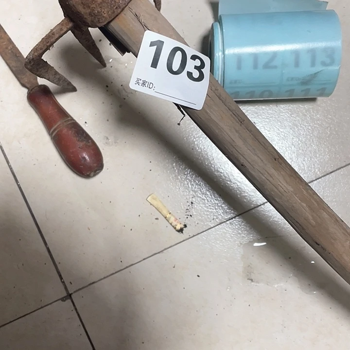 香榧木王*木头的杂件103