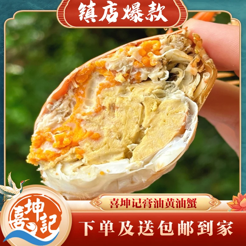 【喜坤记膏油黄油蟹4~4.5两/只】膏油量40%左右鲜活送礼肉质鲜美